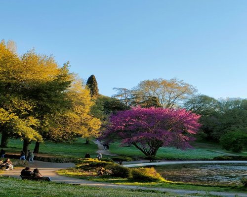 calm walk through an Italian city park